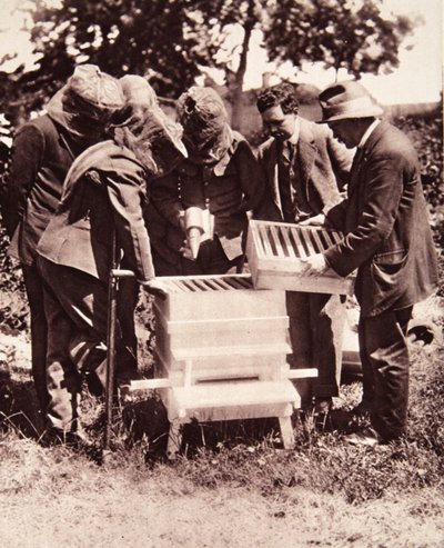 Bijenteelt instructie onder Lord Eglinton